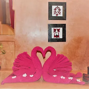 Riad Les Jardins Mandaline